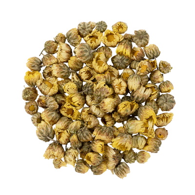 Chrysanthemum Flowers